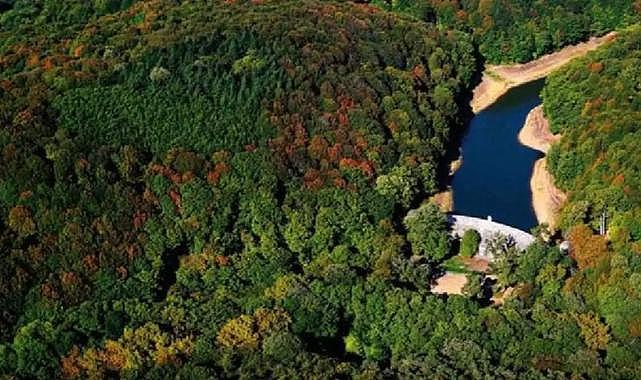 ''Belgrad Ormanı imara açılıyor'' iddiası ile ilgili beklenen açıklama