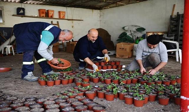 Karşıyaka’nın serasında çiçekler açıyor