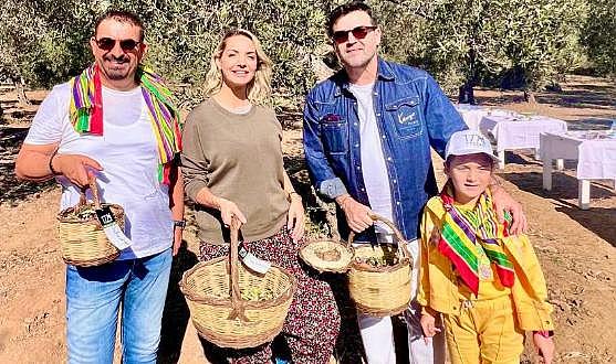 Oksijen diyarı Kaz Dağları'nda zeytin hasadı başladı