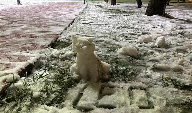 Uşak'ta kar nedeniyle okullar 1 gün tatil edildi