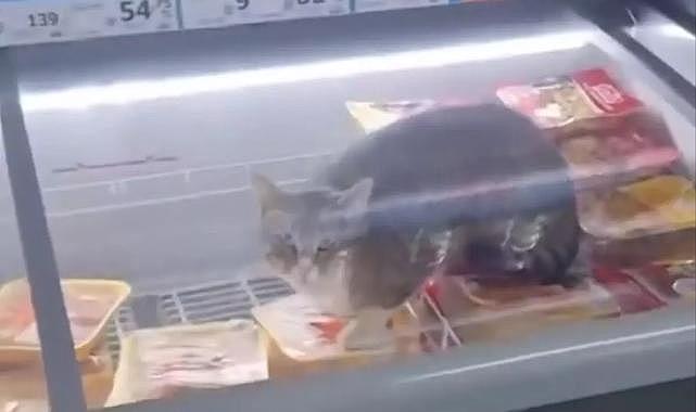 Zincir markette pes dedirten görüntü