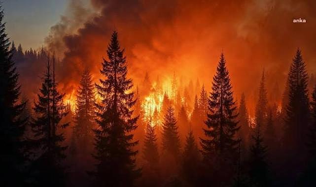 ABD’de dev yangın: 30 bin kişiye tahliye emri verildi