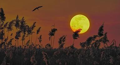 Dolunay Yengeç Burcunda: Bu Gece Uygulanması Gereken Ritüel