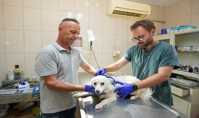 Gaziemir Belediyesi'nden 6 bin 222 can dosta şefkat eli