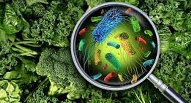 İzmir'de bir kişinin canını almıştı! Sinsi tehlike Salmonella'yı uzmanı anlattı...