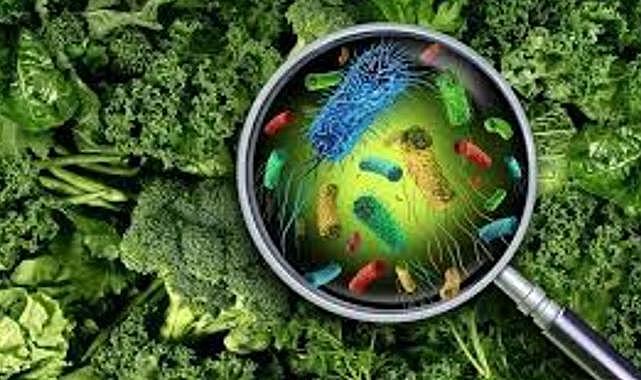 İzmir'de bir kişinin canını almıştı! Sinsi tehlike Salmonella'yı uzmanı anlattı...