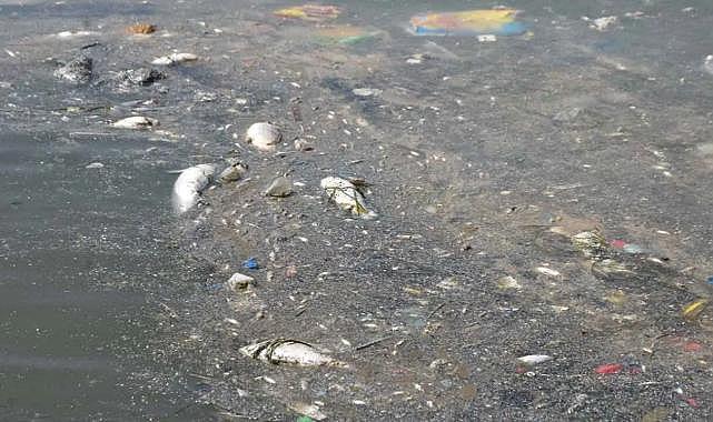 İzmir Körfezi'nde Yaşanan Kirliliğe İlişkin Soruşturma Başlatıldı
