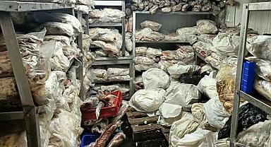 İzmirlilerin sağlığını hiçe saydılar: Tonlarca bozuk et ve balık ele geçirildi