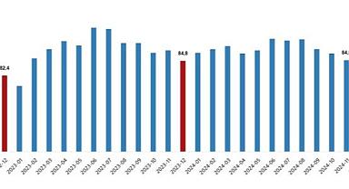 Dış Ticaret Endeksleri, Aralık 2024