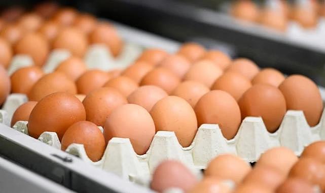 Marketlerde artık kahverengi yumurta satılmayacak