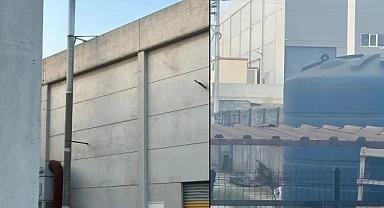 Ruhsatsız fabrika yeniden TBMM'de: Kurum'a soru önergesi