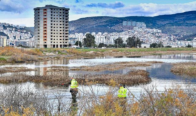 ​Sivrisinek ve haşereyle mücadele 12 ay sürüyor