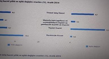 Ticaret Satış Hacim Endeksi, Aralık 2024