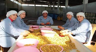 Zeytin ve zeytinyağı sektöründe verimlilik artıracak Avrupa Birliği Projesi