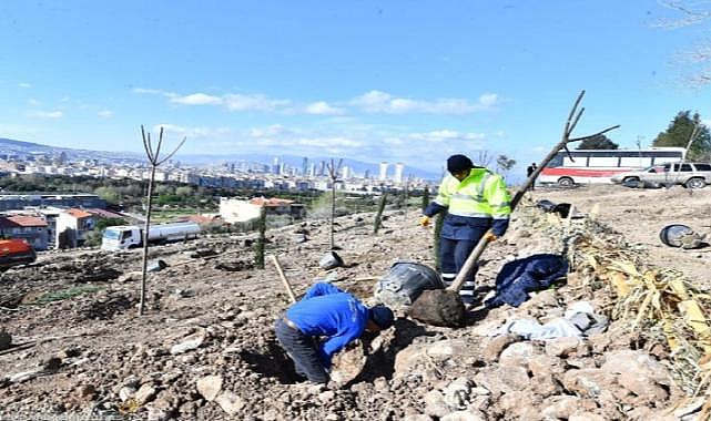 Bornova'ya yeni orman çalışmaları son sürat devam ediyor