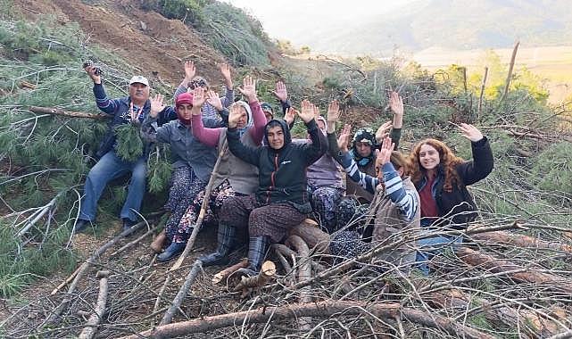 İzmir'de büyük direniş: Ağaç katliamına karşı imza kampanyası başlatıldı.