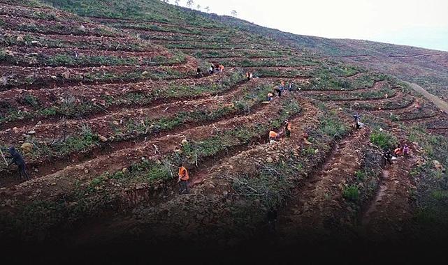 Başkan Tugay'dan 'yanan ormanlık alanlar ağaçlandırılmıyor' çıkışı... Buralar yaşanmaz hale gelir!