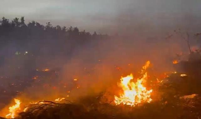 Denizli'de köylüler ve ekiplerin seferber olduğu yangın kontrol altına alındı