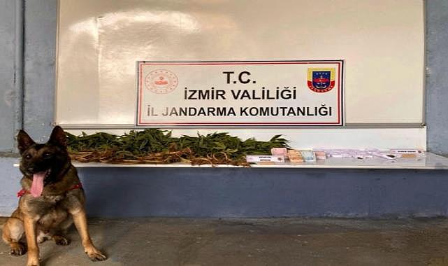 İzmir'de narkotik operasyonların gözdesi 'Atik'li baskın