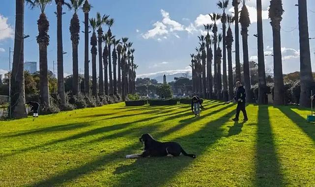 İzmir'e yeşil koridor geliyor: Kültürpark ve Yeşildere birleşecek