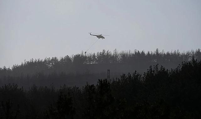 Aliağa ve Foça’daki yangın kontrol altına alındı