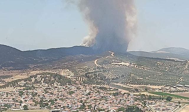İzmir Foça’da orman yangını: Müdahale sürüyor
