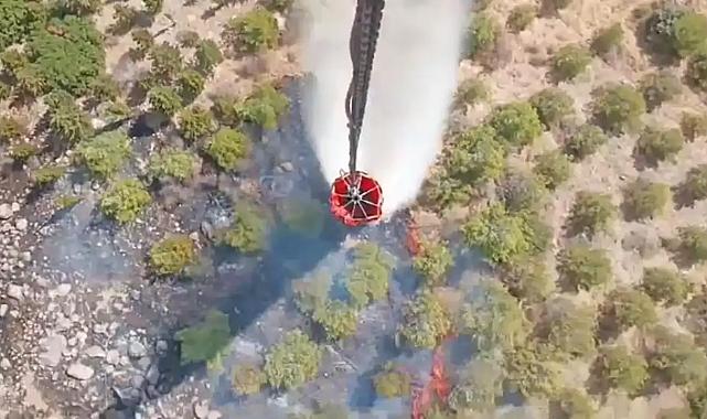 İzmir Foça&#039;da orman yangını: Müdahale sürüyor