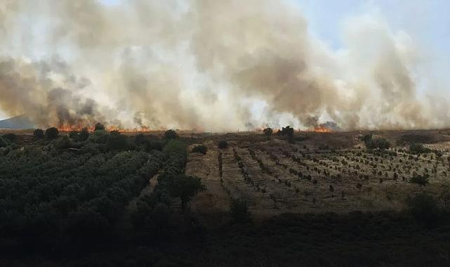 İzmir yine yanıyor: Foça ve Karaburun&#039;da orman yangını