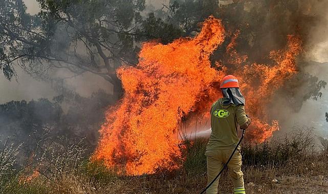 Muğla'da hasır ürünler satan işyerinde yangın