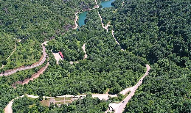 Son 23 Yılda Orman Alanları Yüzde 12,5 Arttı
