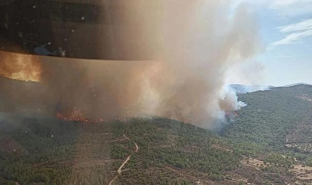 Yeni Foça&#039;da orman yangını: 2 uçak, 3 helikopter ile müdahale