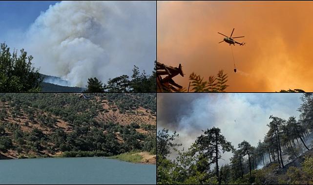 50’ye Yakın Kentte Ormana Giriş Yasaklandı!