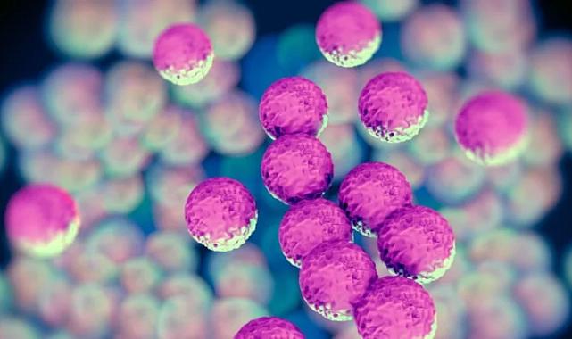 Antibiyotik tanımayan bakteri alarm veriyor