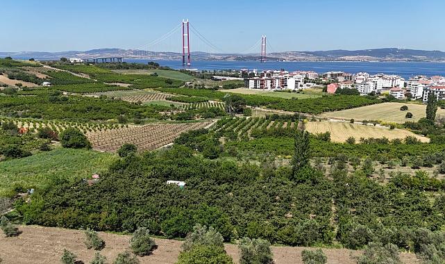 Aydın ve İzmir’de zirai don kiraz üretimini vurdu
