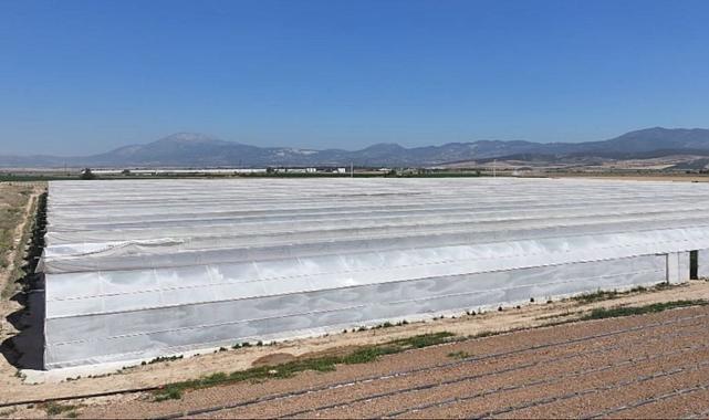 Aynı hata tekrarlandı: 26 işçi hastanelik oldu