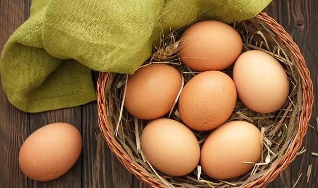 Bakanlık duyurdu: Yumurta ihracatında yeni dönem