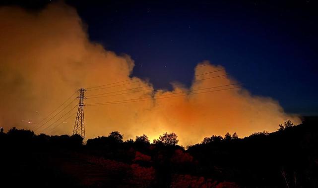 Balıkesir’deki orman yangını büyüyor: Mahalle boşaltıldı