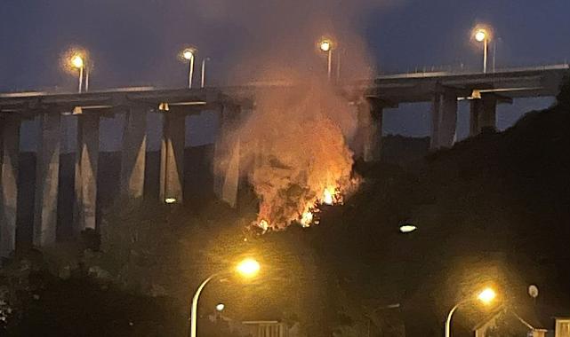 Beykoz’da orman yangını: 1 kişi gözaltında