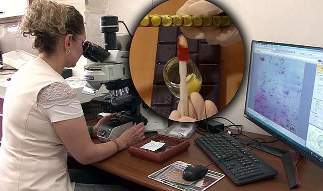 Bilim insanlarından kısırlıkta devrim: Arı sütü mucizesi