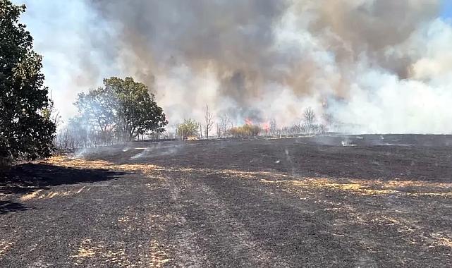 Bulgaristan’daki Orman Yangını Kontrol Altına Alındı