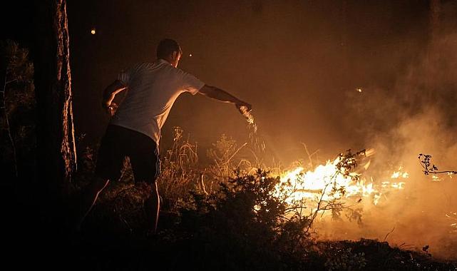 Bursa’da orman yangınına pet şişelerle müdahale edildi