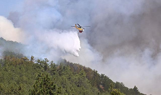 Bursa’daki orman yangını 5. gününde devam ediyor
