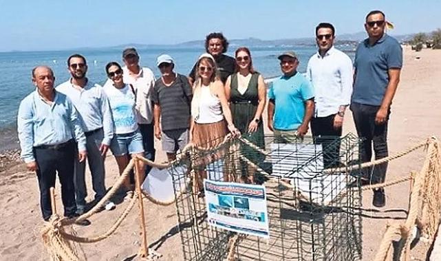 Caretta caretta yuvaları koruma altına alındı
