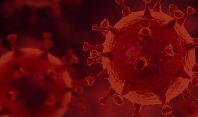 Çin’de yeni virüs alarmı: Yarasalarda iki Henipavirus türü tespit edildi