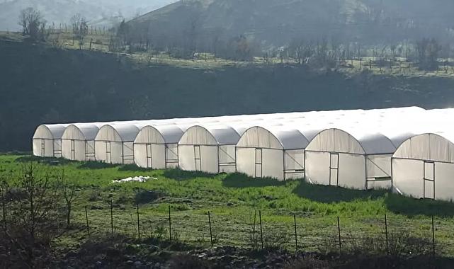 DAP Bölgesi’nde Tarım Canlanıyor: 1 Milyon 200 Bin Hektar Hedef