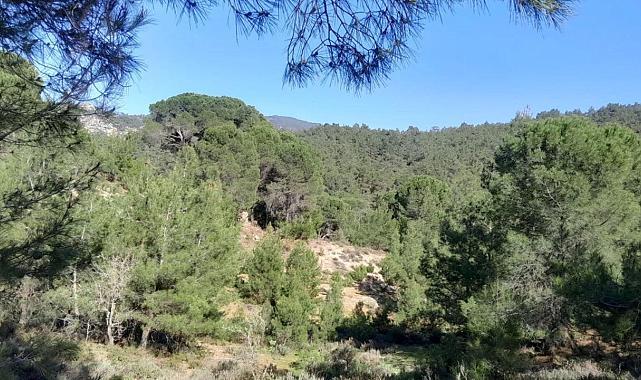 Doğanın Kalbine Dinamit: Latmos'ta Yeni Ocak Girişimi