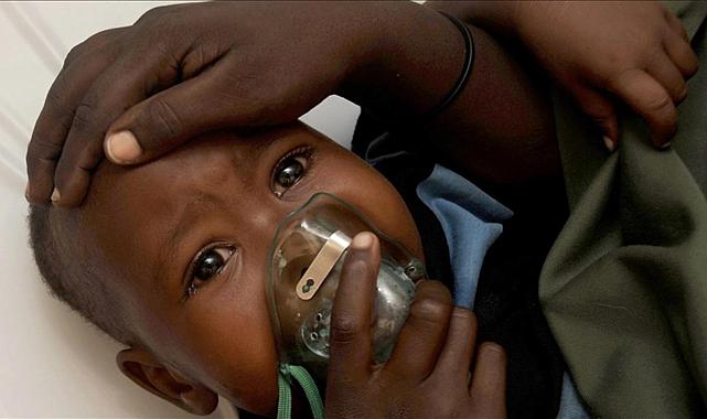 DSÖ uyardı: Sivrisinek virüsü küresel krize dönüşebilir