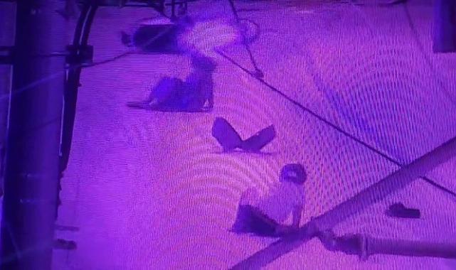 Ehliyetsiz sürücü tramvay durağına çarptı