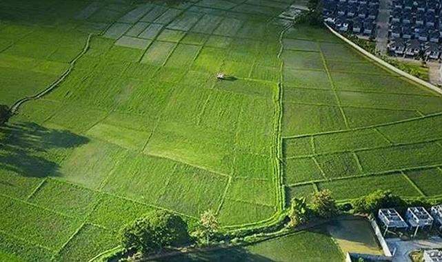 Ekilmeyen tarım arazisi kiraya verilecek