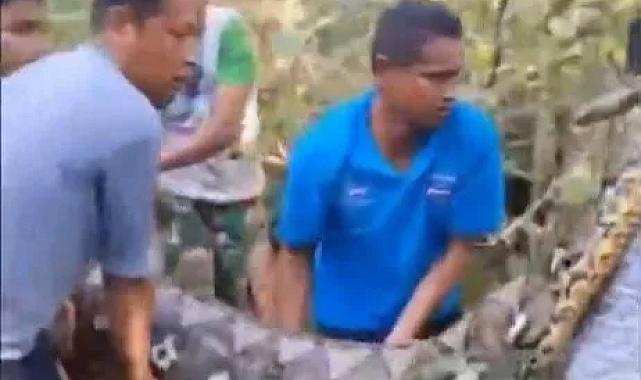 Endonezya’da 8,5 metrelik piton 61 yaşındaki adamı yuttu